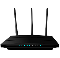 Enterprise Network Monitoring